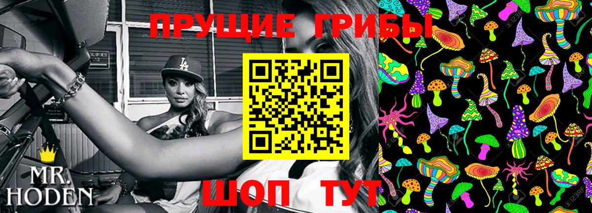 Асино  Галлюциногенные грибы Magic Shrooms  Вход с VPN 